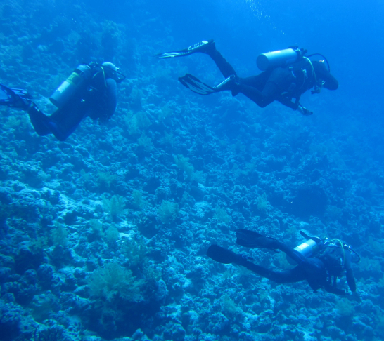 Scuba Diving Trip to Gozo 2020