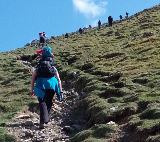 ** Venue change** National | Castleton walking trip