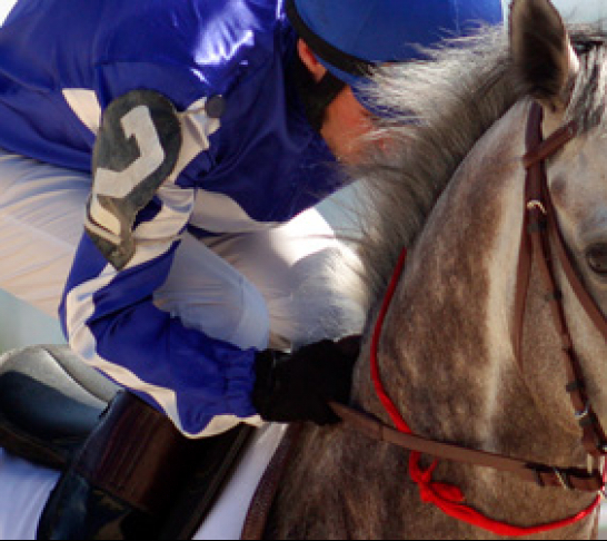 *CANCELLED* Aintree Grand National Opening Day