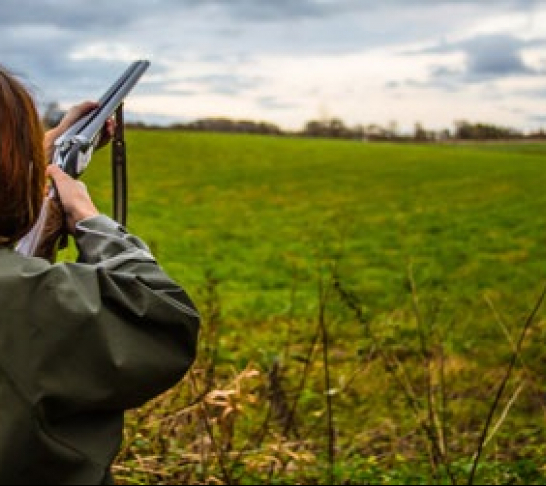 National | Clay Pigeon Shooting Kent