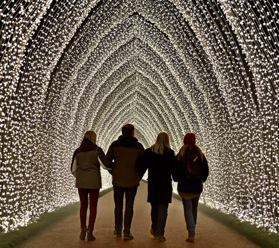 Centenary Event | Christmas at The Botanics