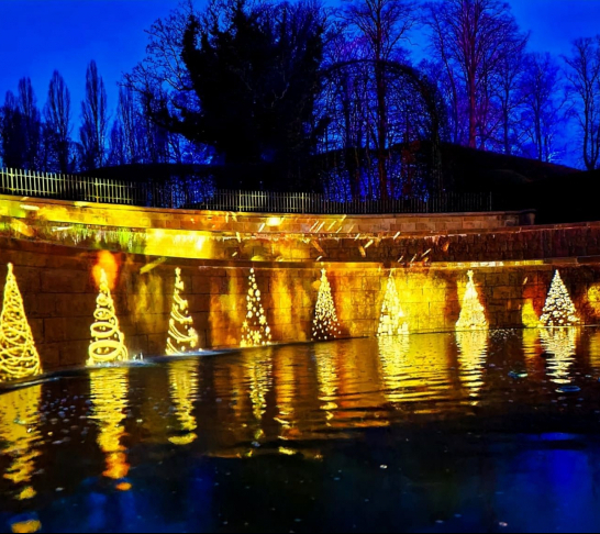 Centenary Event | The Alnwick Garden Winter Light Trail SOLD OUT
