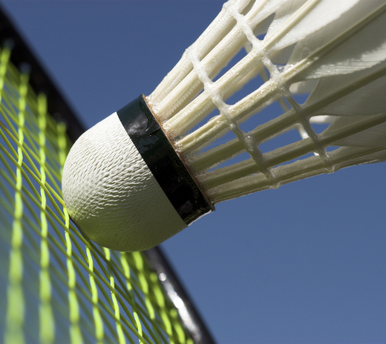 Badminton Camp