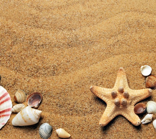 Merseyside Area | Weekend Coach Break to the South Coast of England, featuring optional day trips