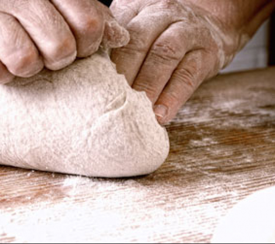 Essentials of Bread Taster Day