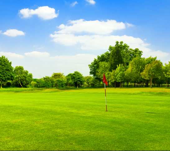 Hunts, Cambs and Beds Area | Introduction (or Returners) to Golf Lessons, Stagson, Nr Bedford