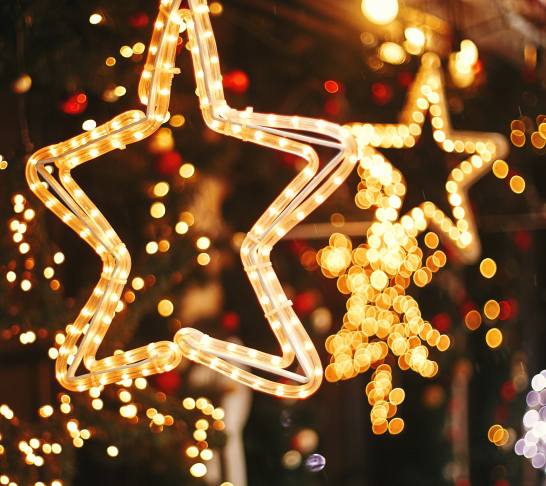 London | Christmas at Kew