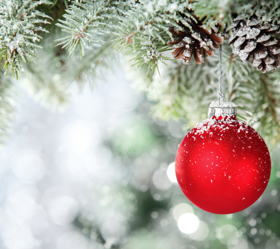 North West | Christmas Decoration Demonstration