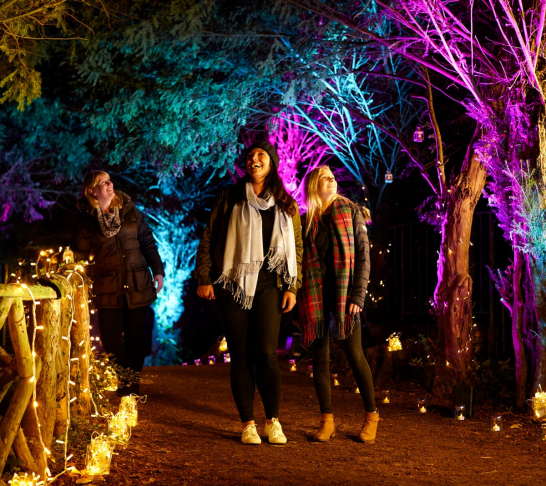 Centenary Event | Enchanted Audley End 16 Dec