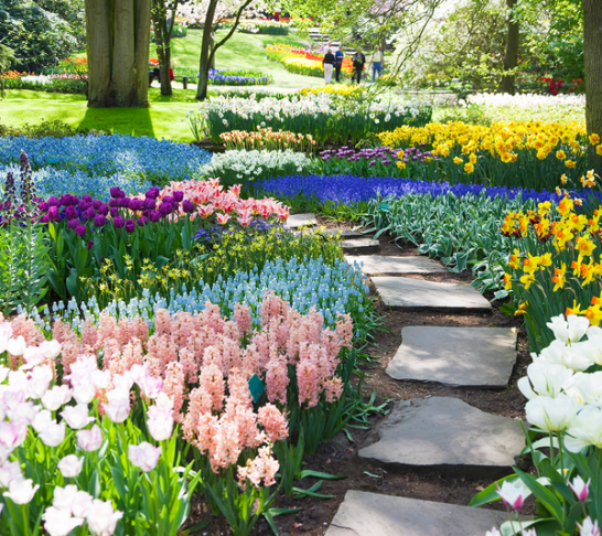 Sandringham Flower Show