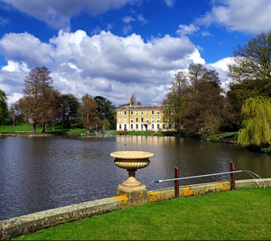 Christmas at Kew