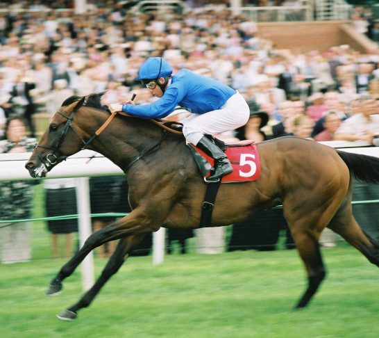 London | Coral Eclipse Races from the Premier Enclosure