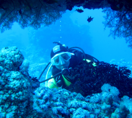 National | Scuba Diving Trip to Gozo