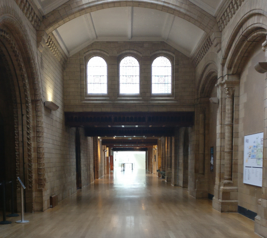 CSSC 100 | Natural History Museum after hours