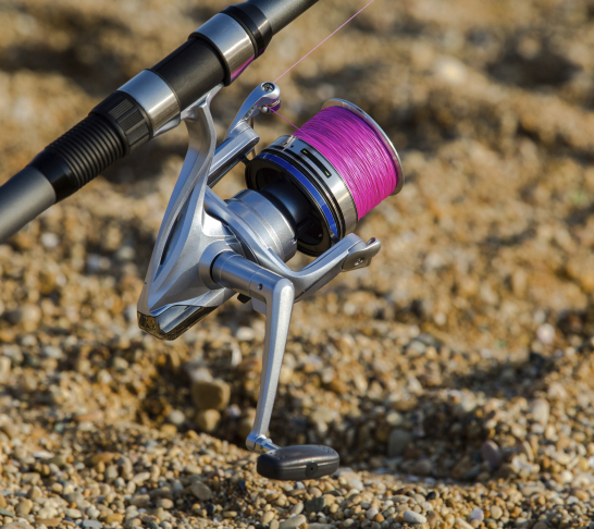 London Region Shore Angling Championships (First leg)