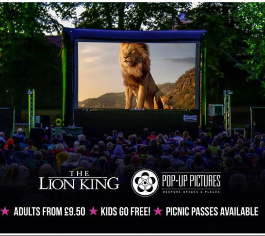 Lion King (2019) Lion King (2019)