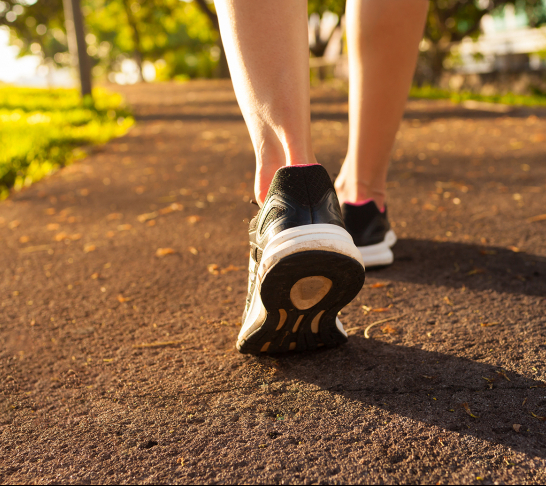 Cornwall Area | 6th Annual Walking Treasure Hunt