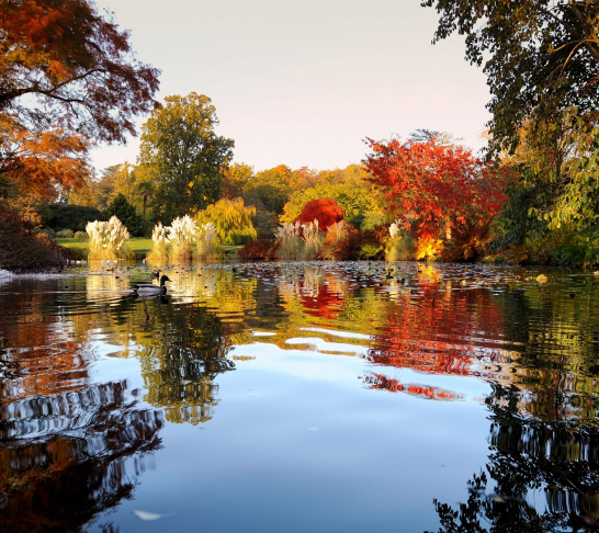 Wakehurst Kew autumn guided walk