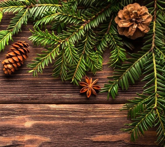 Anglia Area Association | Windsor and Kew at Christmas