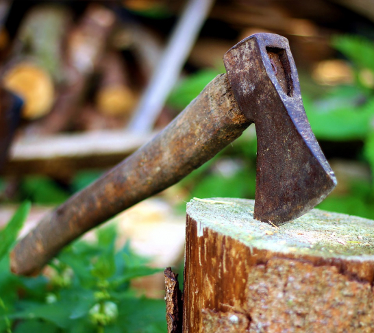 Axe Throwing and Escot Park