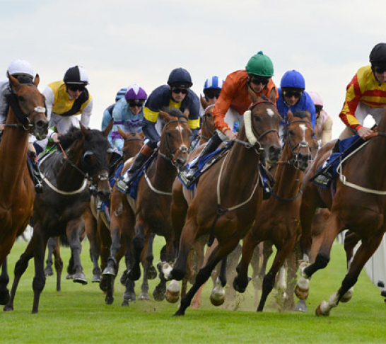 North East and Yorkshire Region | Ebor Festival 2021 Darley Yorkshire Oaks/Ladies Day