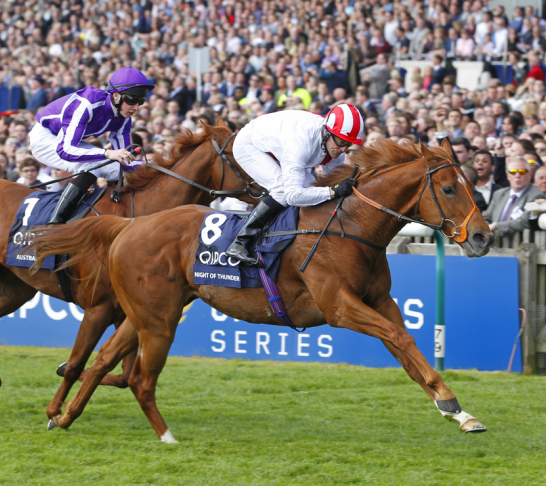 Trip to Ripon Races (including Theakston Beer Festival)