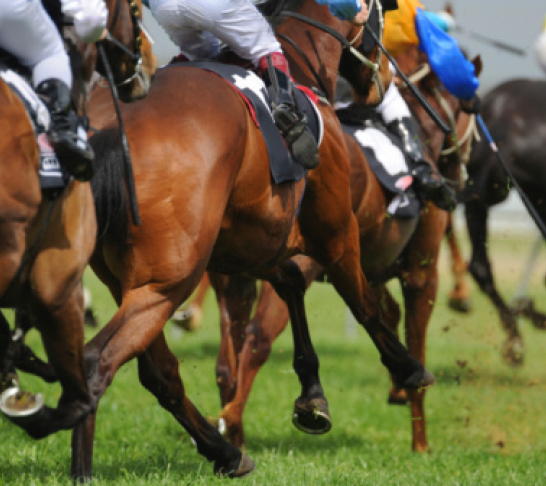 Virtual Event | South West Area | Virtual Race Night