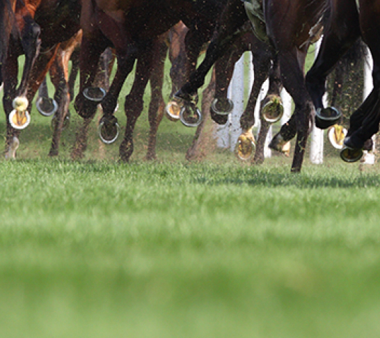 *Cancelled* Aintree Racing Trip