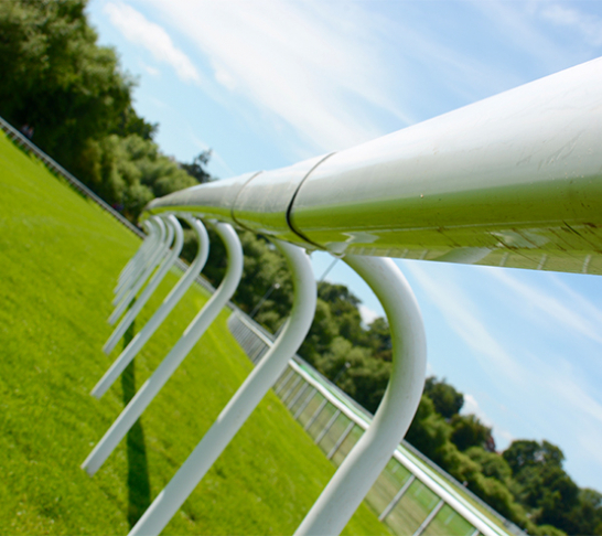 Leeds | Ripon Horse Racing Trip