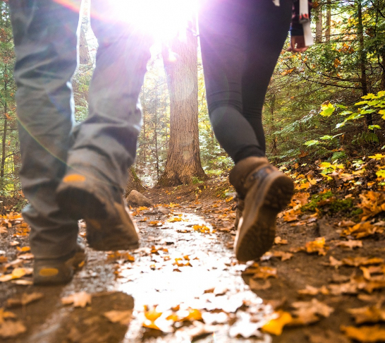 WR&C Area | Walking Group Circular Walk Idle Cricket Club (11.5 Miles)
