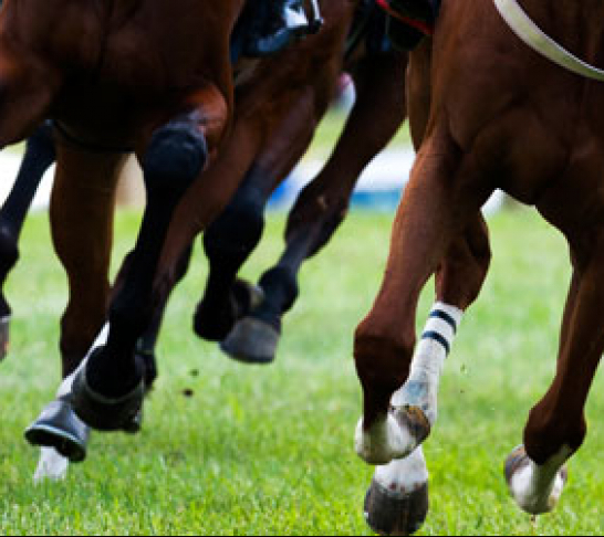 Chatham & Maidstone Area | Royal Ascot